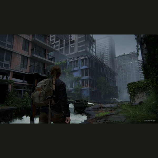 Sony Interactive Entertainment The Last of Us Part II: Remastered