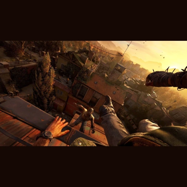 Techland Dying Light: The Beast