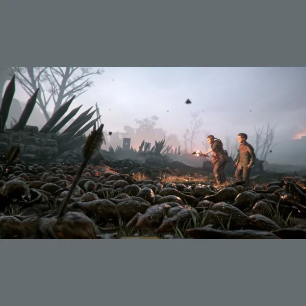 Focus Entertainment A Plague Tale: Innocence