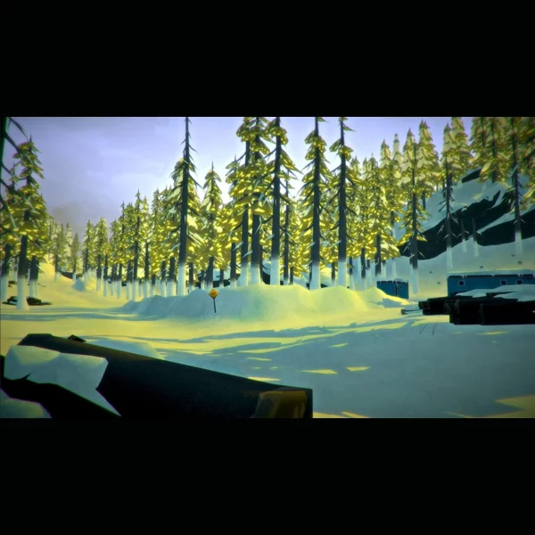 Hinterland Studio Inc. The Long Dark