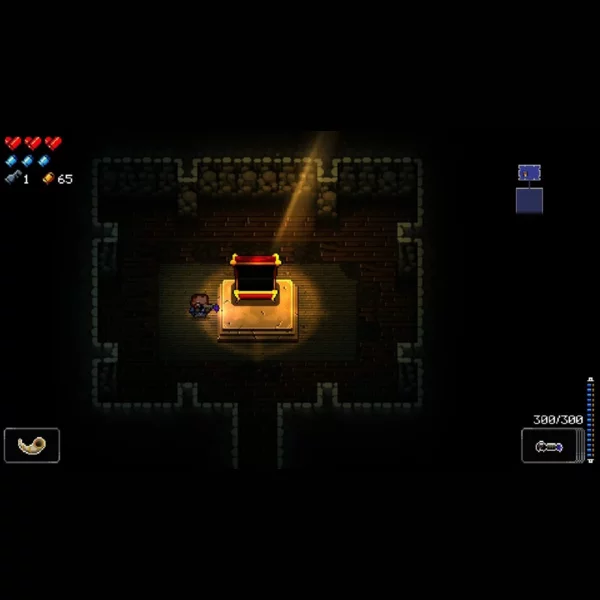 Devolver Digital Enter the Gungeon