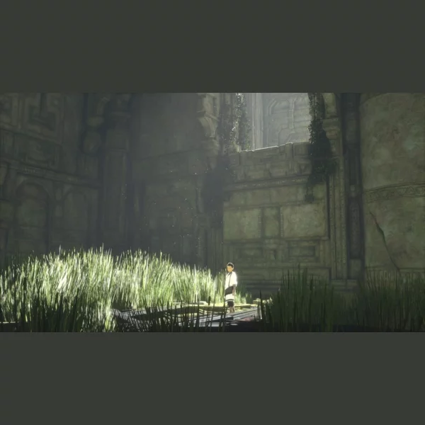 Sony Interactive Entertainment The Last Guardian