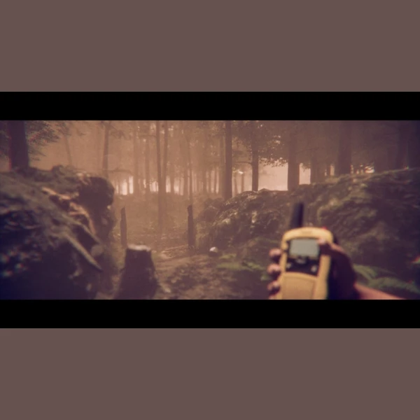 FYRE Games Project Songbird