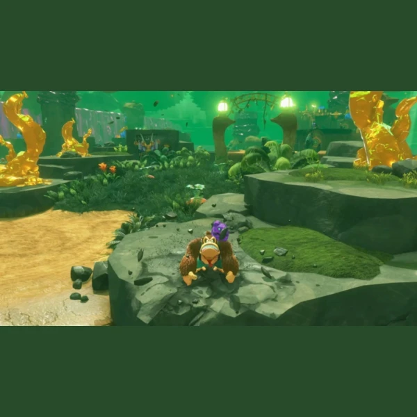 Nintendo Donkey Kong Bananza, Samurai Warriors