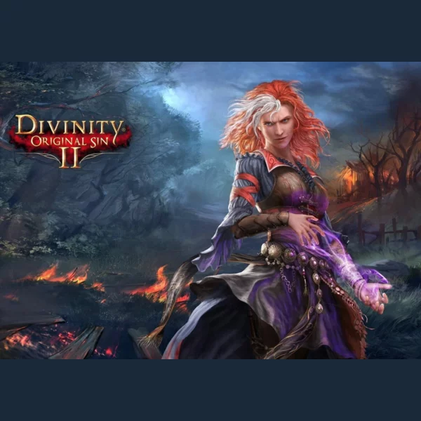 Larian Studios Divinity: Original Sin II