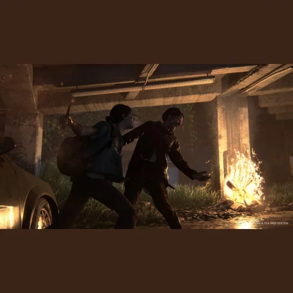 Sony Interactive Entertainment The Last of Us Part II