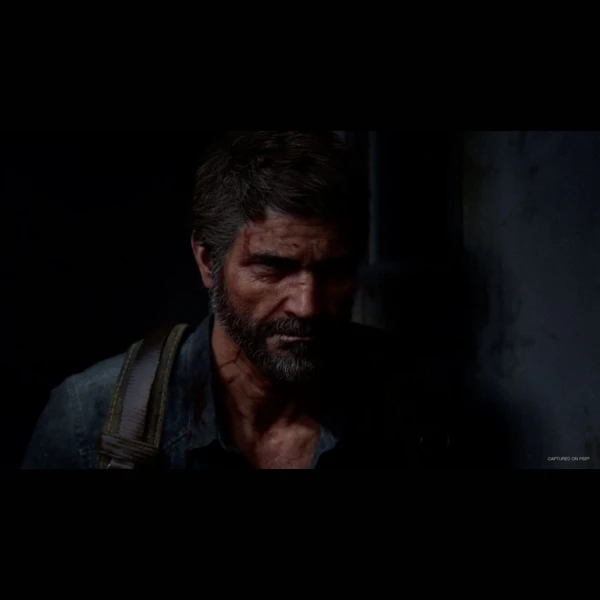 Sony Interactive Entertainment The Last of Us Part II: Remastered