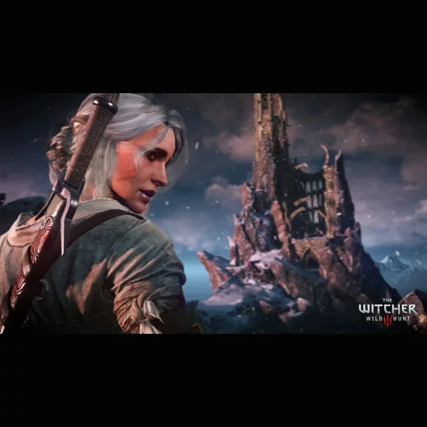 CD Projekt RED The Witcher 3: Wild Hunt