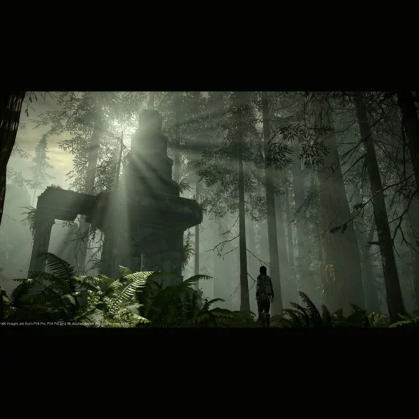 Sony Interactive Entertainment Shadow of the Colossus, Ico