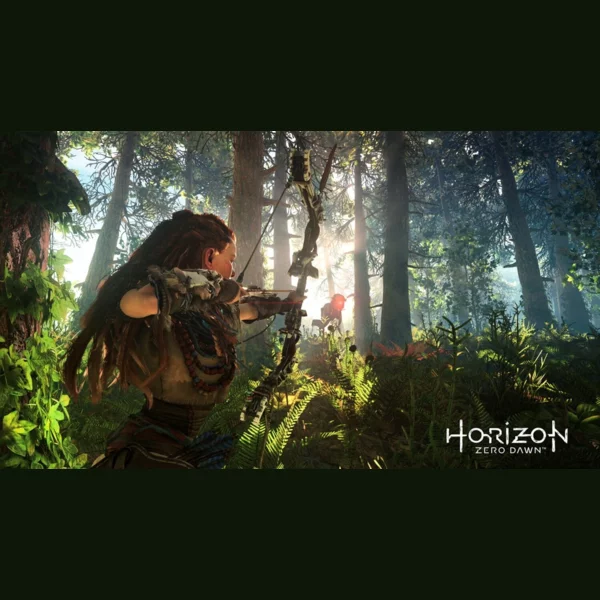 Sony Interactive Entertainment Horizon Zero Dawn