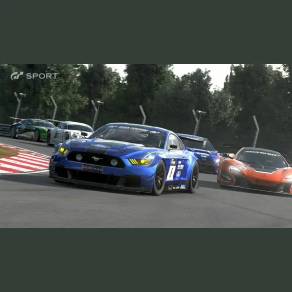 Sony Interactive Entertainment Gran Turismo Sport