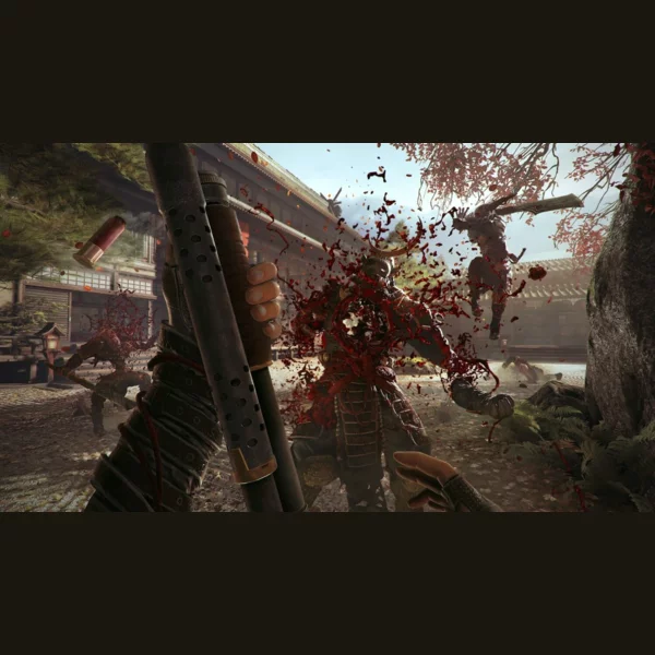 Devolver Digital Shadow Warrior 2