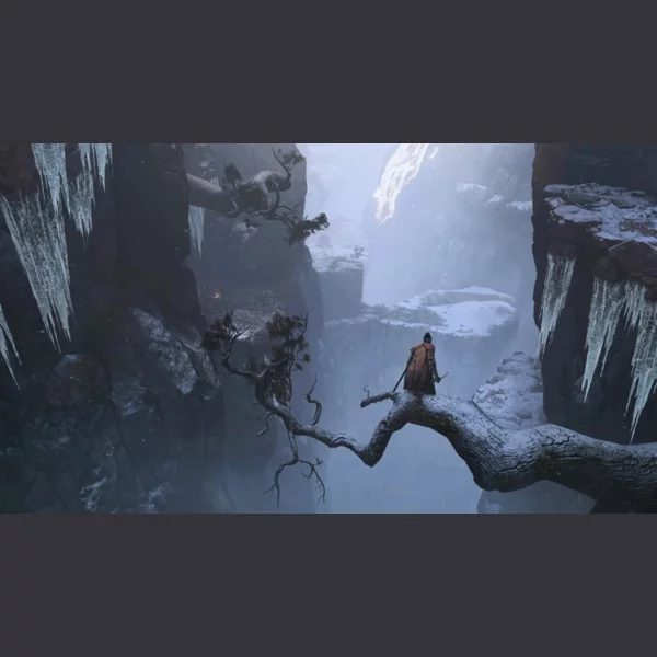 Activision Sekiro: Shadows Die Twice