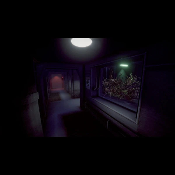 Searching Interactive Crabmeat