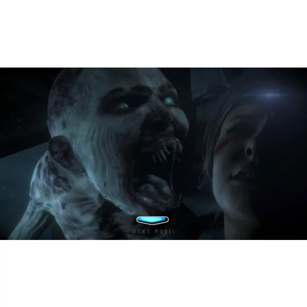 Sony Computer Entertainment Until Dawn