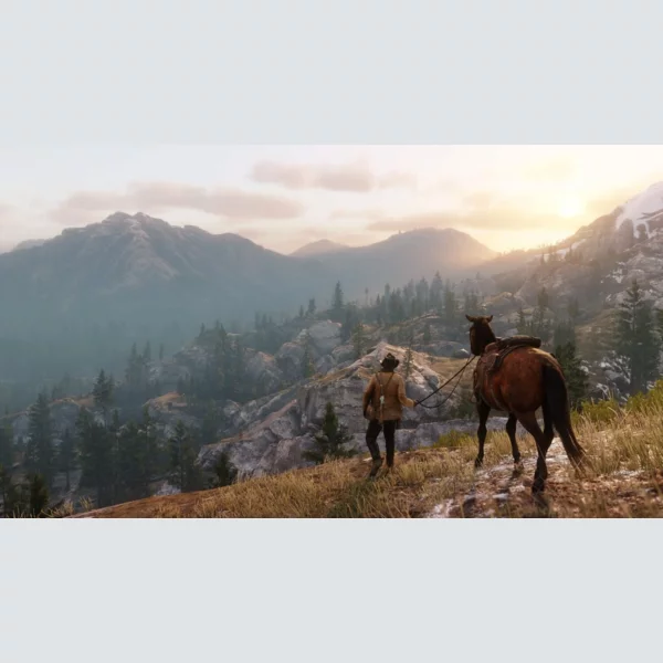 Take-Two Interactive Red Dead Redemption 2