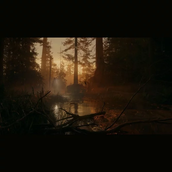 Epic Games Alan Wake II