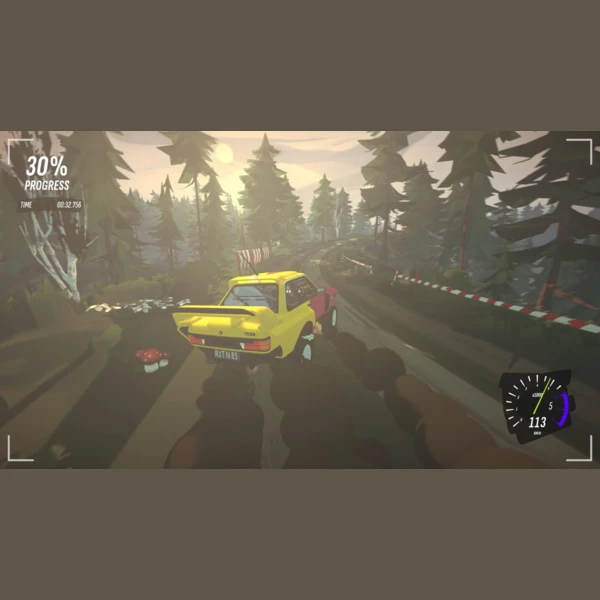 Pixel Perfect Dude Drive Rally