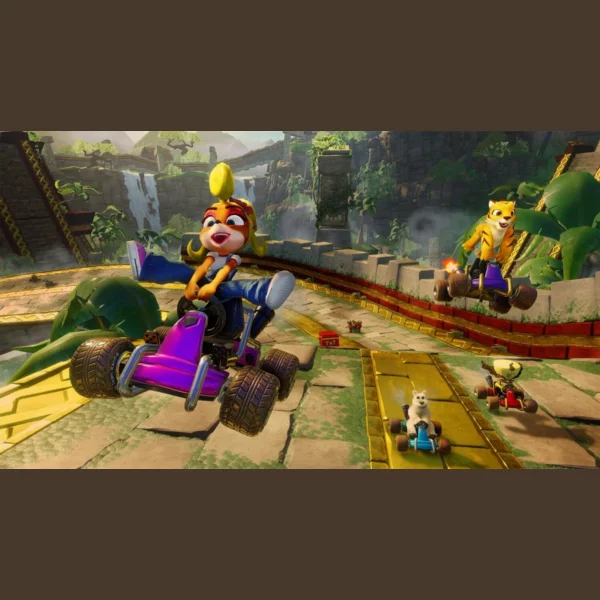 Activision Blizzard Crash Team Racing Nitro-Fueled, Crash Bandicoot