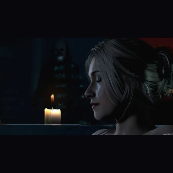 Sony Computer Entertainment Until Dawn