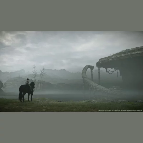 Sony Interactive Entertainment Shadow of the Colossus, Ico