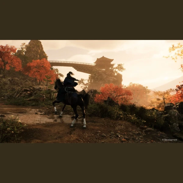 Sony Interactive Entertainment Rise of the Ronin