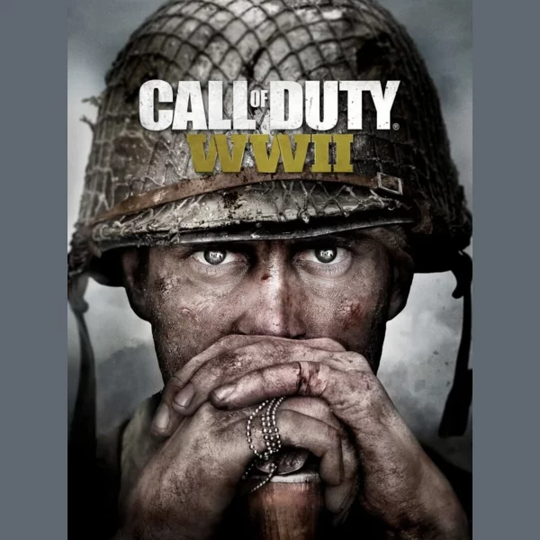 Activision Call of Duty: WWII