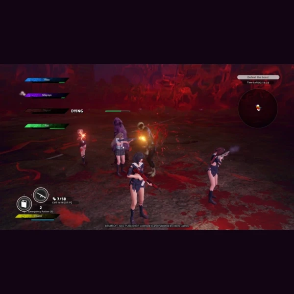 Aksys Games School Girl/Zombie Hunter, Oneechanbara