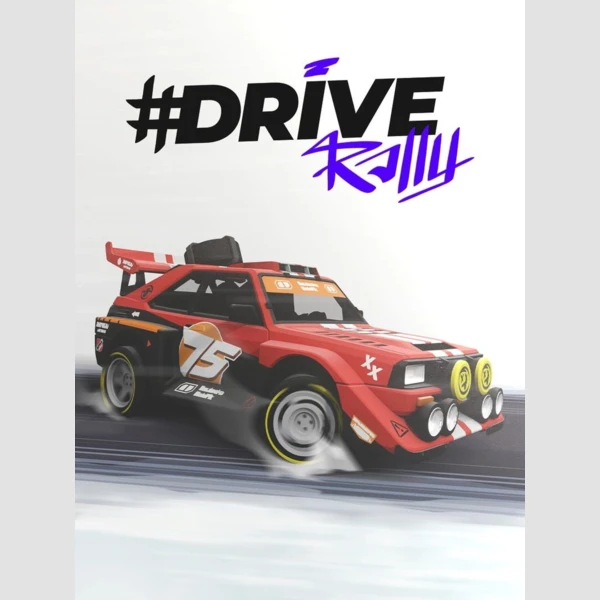 Pixel Perfect Dude Drive Rally