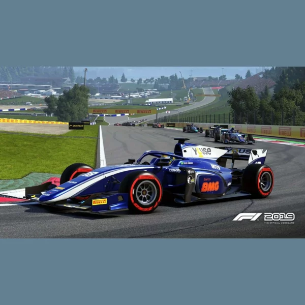 Deep Silver F1 2019, Formula 1