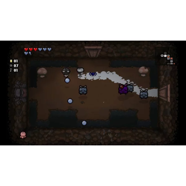 Nicalis, Inc. The Binding of Isaac: Afterbirth