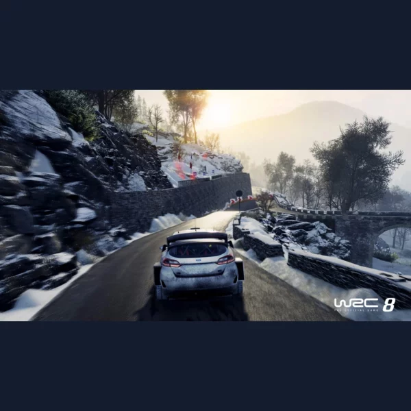 Bigben Interactive WRC 8, World Rally Championship