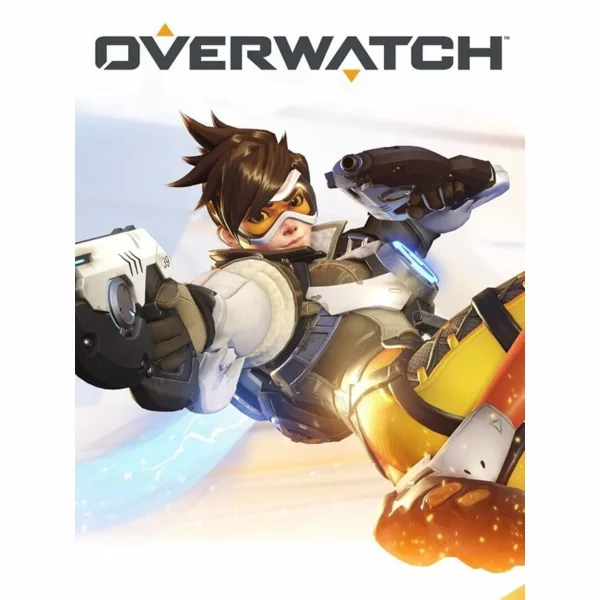 Blizzard Entertainment Overwatch