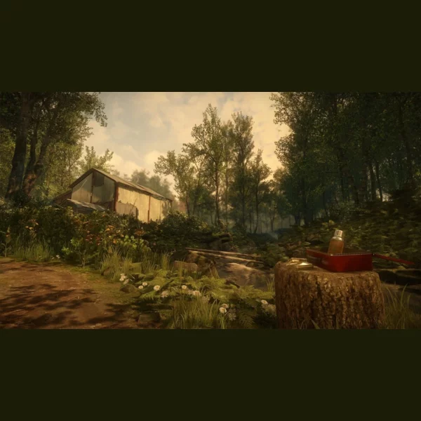 Sony Computer Entertainment Everybody's Gone to the Rapture