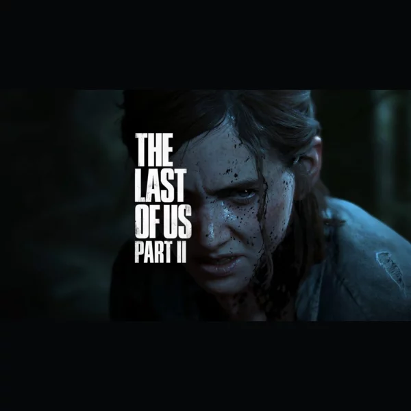 Sony Interactive Entertainment The Last of Us Part II