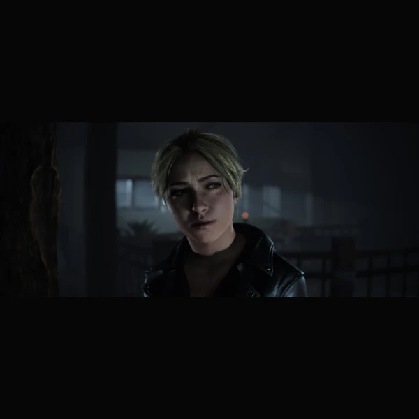 Sony Interactive Entertainment Until Dawn