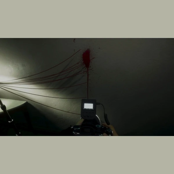 Blue Hat Studio She's Leaving