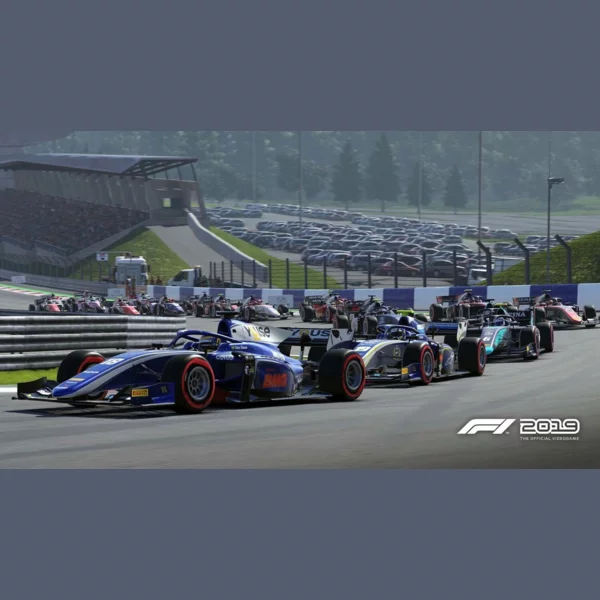 Deep Silver F1 2019, Formula 1