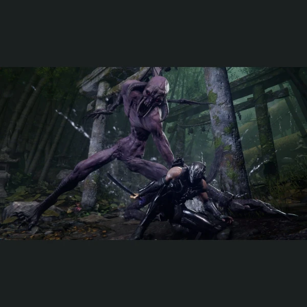 Koei Tecmo Ninja Gaiden 4