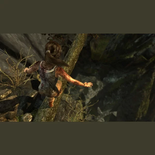 Square Enix Tomb Raider: Definitive Edition