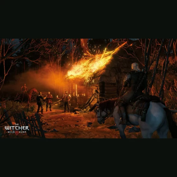 CD Projekt RED The Witcher 3: Wild Hunt