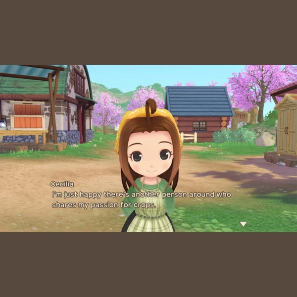 Marvelous Europe Ltd. Story of Seasons: A Wonderful Life