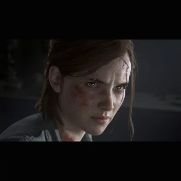 Sony Interactive Entertainment The Last of Us Part II