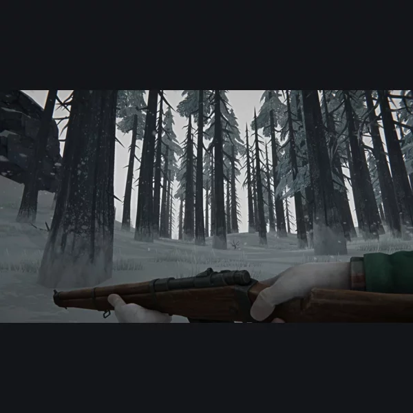 Hinterland Studio Inc. The Long Dark