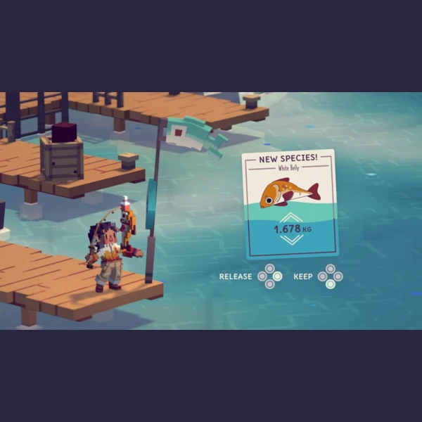 Coatsink Moonglow Bay