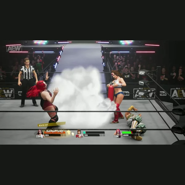 THQ Nordic All Elite Wrestling: Fight Forever