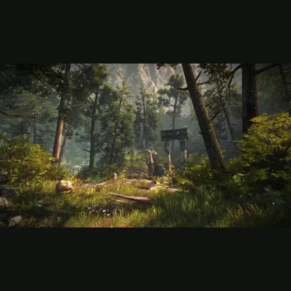 Endnight Games Ltd The Forest