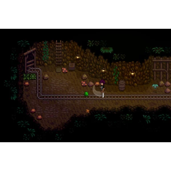 ConcernedApe Stardew Valley