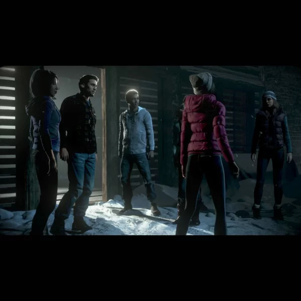 Sony Computer Entertainment Until Dawn