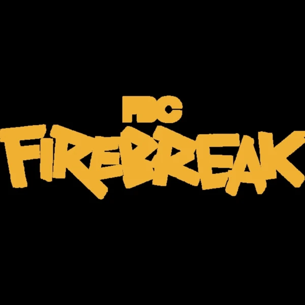 Remedy Entertainment FBC: Firebreak